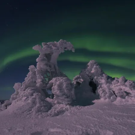 Domek alpejski Northern Delight, Saivu & Ulda *