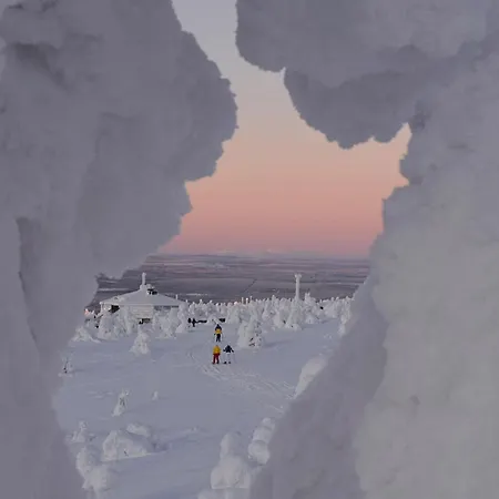 Northern Delight, Saivu & Ulda Domek alpejski